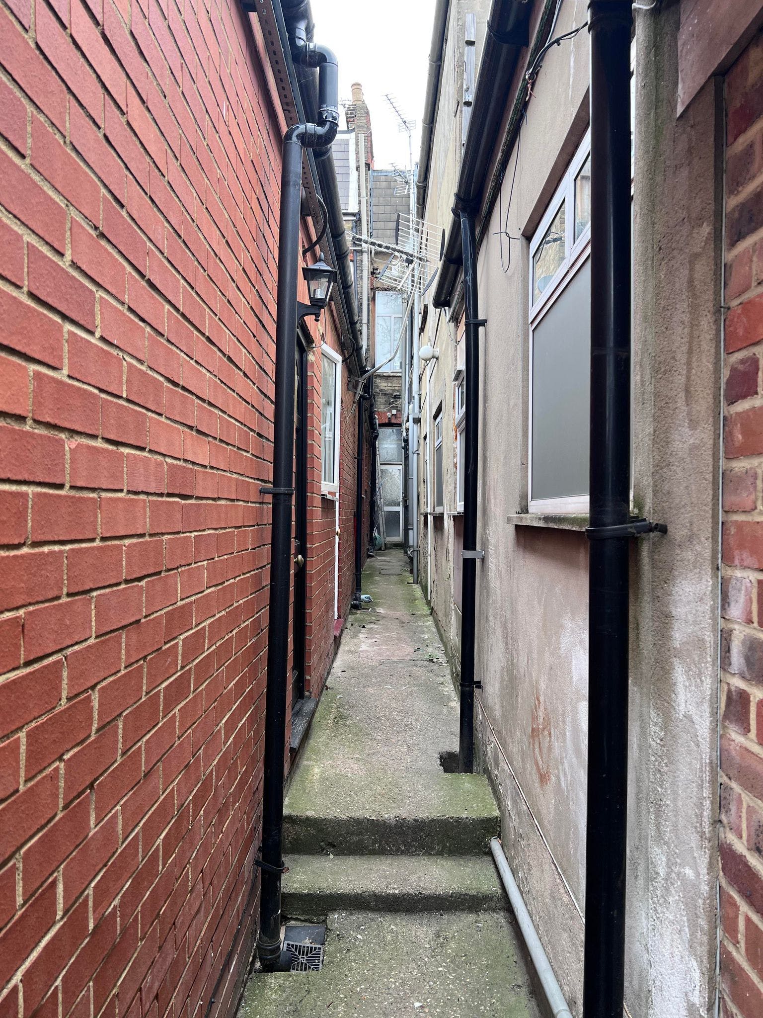 image-2